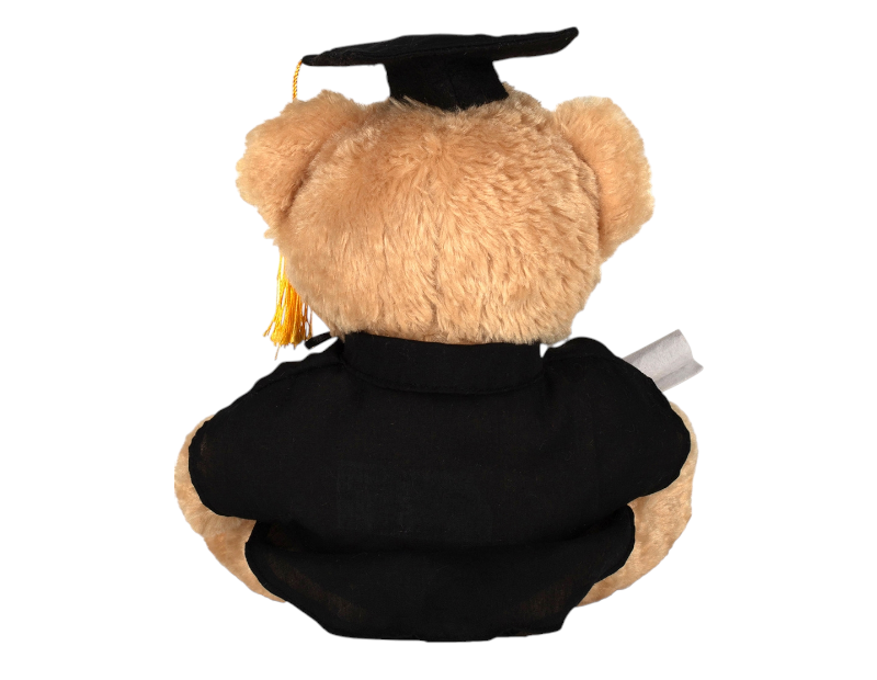 Mumbles Graduation Bear