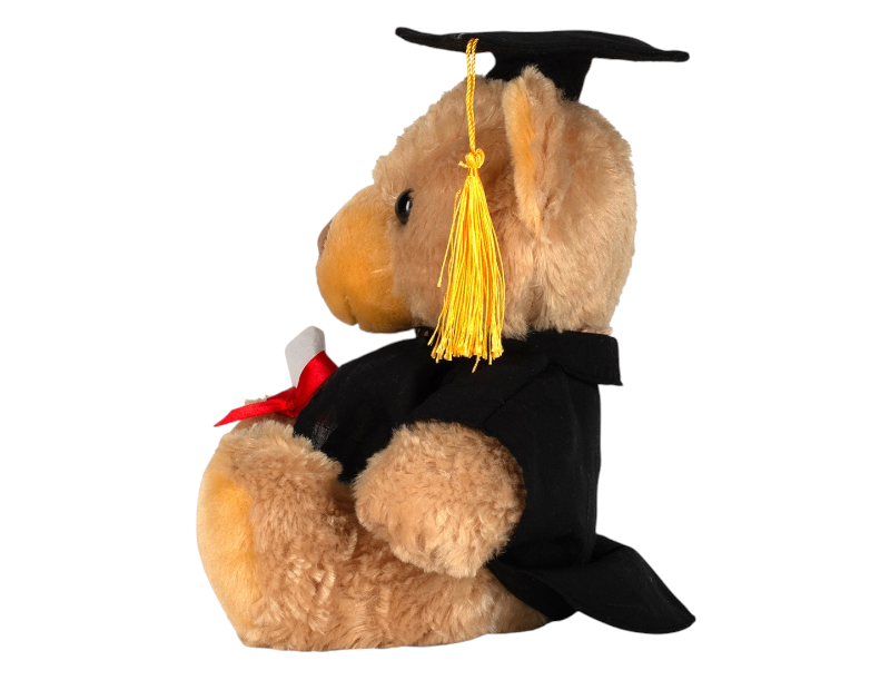 Mumbles Graduation Bear