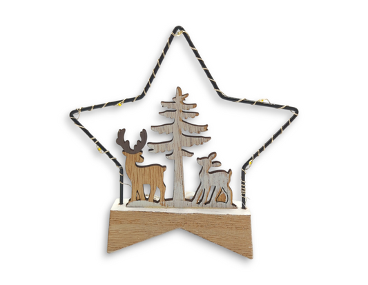 Light Up Star Decoration