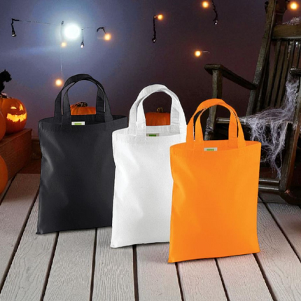 Mini Tote Bag W104