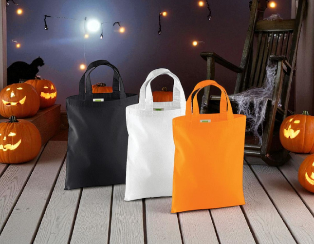 Mini Tote Bag W104