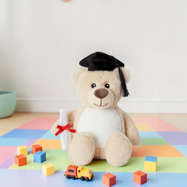 Graduation School Teddy Bear